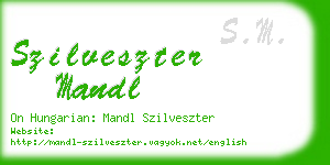 szilveszter mandl business card